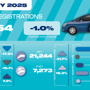 EVs account for one in four new car registrations in flat February ...